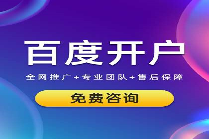 成功SEM代理案例：精准投放的策略